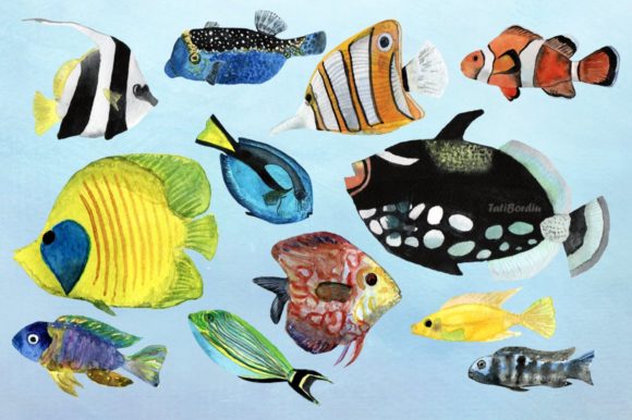 12 Watercolor Tropical Fish Illustrations for Fresh, Vibrant Local Branding