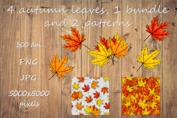 Autumn Maple Leaves Bundle: A Designer’s Review for Real Client Projects