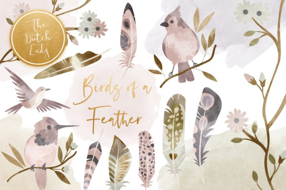 Birds Feathers Clipart Set: Elegant Illustrations for Branding & Marketing