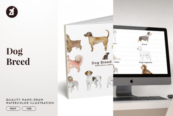 Dog Breed Set 10 Illustrations: A Designer’s Honest Review for Branding and Marketing
