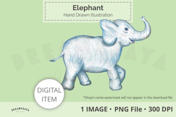 Hand Drawn Elephant PNG Clip Art for Illustrations & Digital Product Sellers