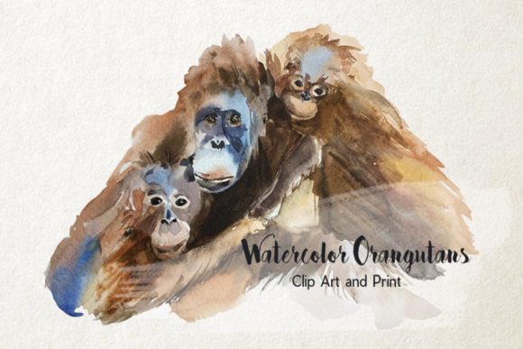 Orangutan's Family Clip Art Print: A Practical Illustration for Digital Sellers
