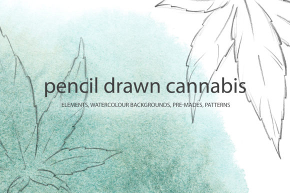 Pencil Drawn Cannabis Illustrations for Local Brand Storytelling