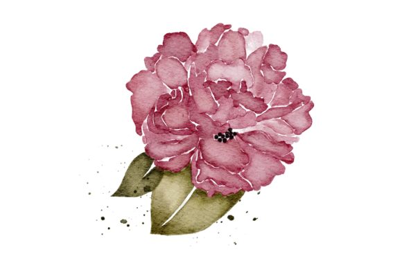 Peonies Flower Realistic PNG Clip Art – Elegant Illustrations for Cricut & Handmade Business Design