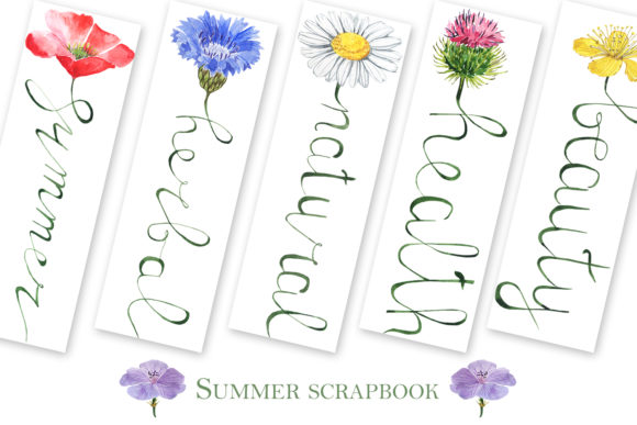 Summer Scrapbook: A Designer’s Review of Versatile Illustrations for Seasonal Branding