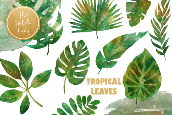 Tropical Jungle Leaves Clipart Set for Branding & Marketing Illustrations